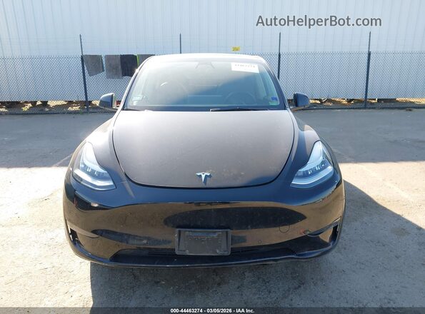 5YJYGDEE3MF259115 2021 TESLA MODEL Y Black 