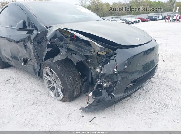 5YJYGDEE3MF300522 2021 TESLA MODEL Y Black Դիմացի տեսք