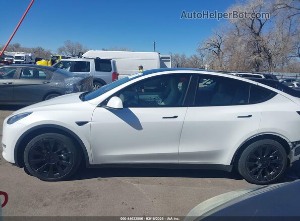 5YJYGDEE4MF151859 2021 TESLA MODEL Y White 