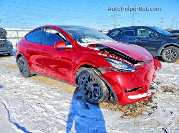 5YJYGDEE4MF199040 2021 TESLA MODEL Red წინა მარჯვენა