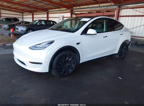 5YJYGDEE4MF231520 2021 TESLA MODEL Y White Przód lewy