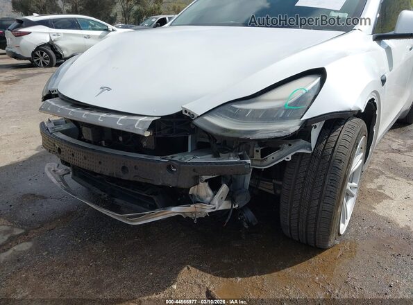 5YJYGDEE5MF096631 2021 TESLA MODEL Y White Դիմացի տեսք