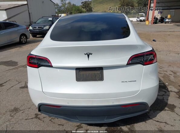 5YJYGDEE5MF096631 2021 TESLA MODEL Y White 