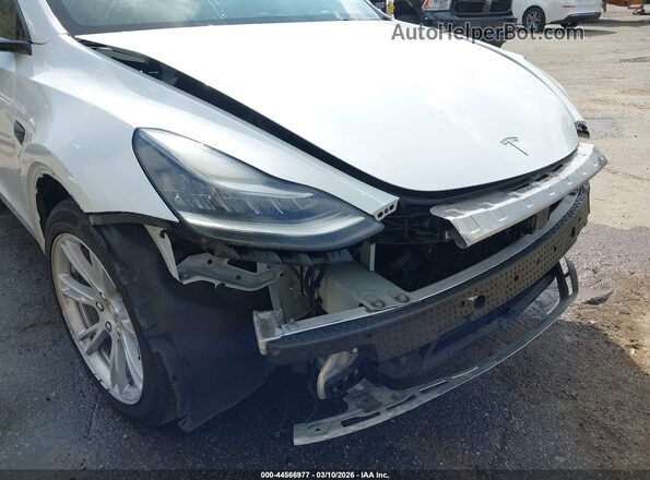 5YJYGDEE5MF096631 2021 TESLA MODEL Y White 