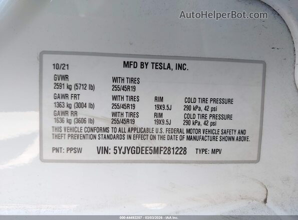 5YJYGDEE5MF281228 2021 TESLA MODEL Y White Շարժիչի բաժամունքի տեսք