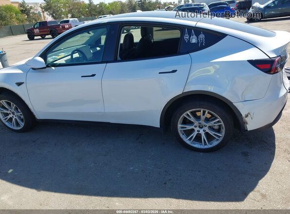 5YJYGDEE5MF281228 2021 TESLA MODEL Y White 