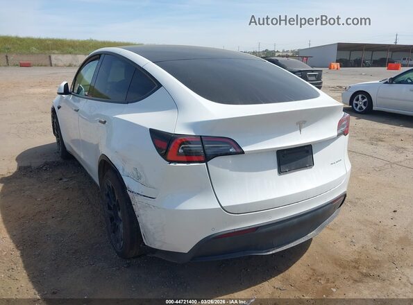 5YJYGDEE6MF125683 2021 TESLA MODEL Y White უკანა მარცხენა