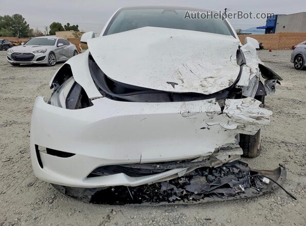 5YJYGDEE6MF195927 2021 TESLA MODEL Белый Вид спереди