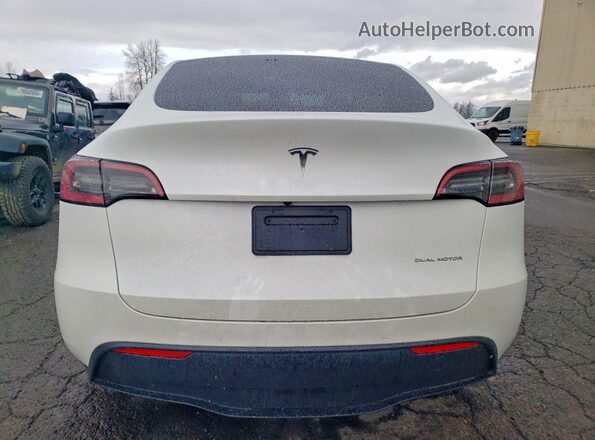 5YJYGDEE6MF215156 2021 TESLA MODEL White Հետևի տեսք