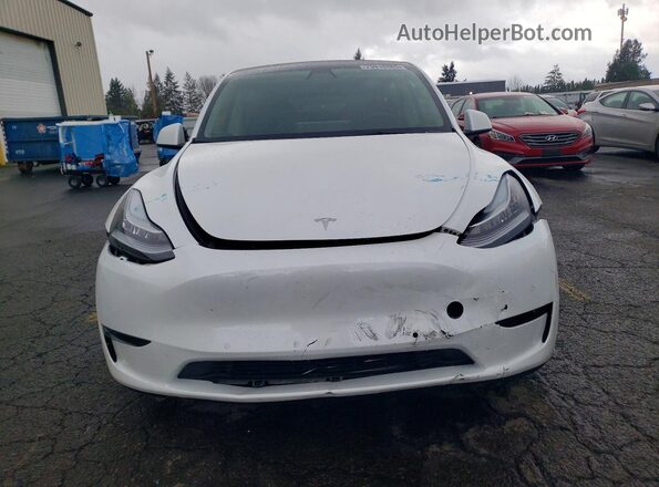 5YJYGDEE6MF215156 2021 TESLA MODEL White Դիմացի տեսք