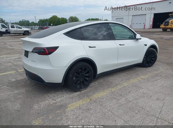 5YJYGDEE6MF263224 2021 TESLA MODEL Y White Trasero derecho