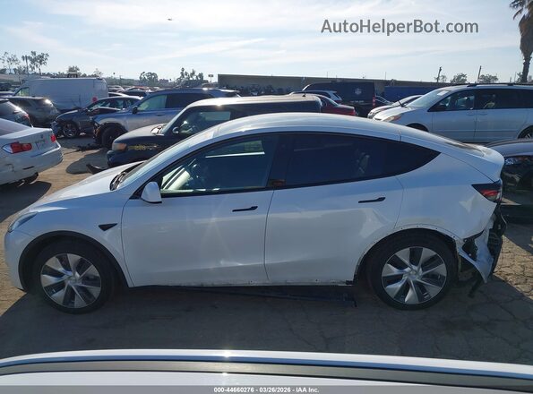 5YJYGDEE7LF013781 2020 TESLA MODEL Y White 
