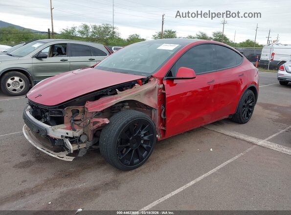 5YJYGDEE8MF084621 2021 TESLA MODEL Y Красный Передняя левая четверть