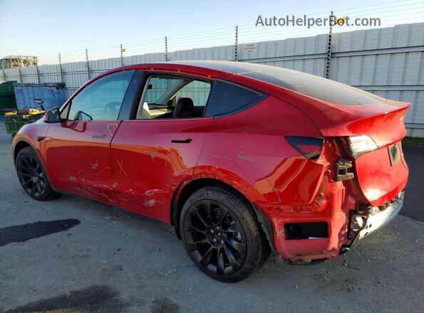 5YJYGDEE8MF206491 2021 TESLA MODEL Burgundy Հետևի ձախ