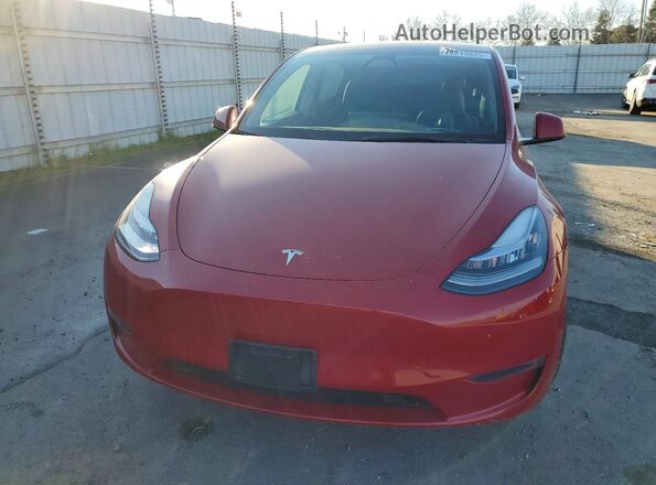 5YJYGDEE8MF206491 2021 TESLA MODEL Burgundy Դիմացի տեսք