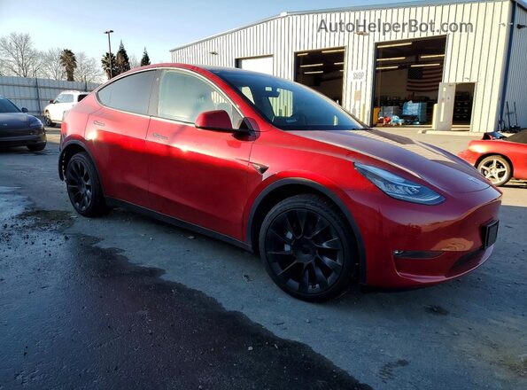 5YJYGDEE8MF206491 2021 TESLA MODEL Burgundy Առջևի աջ