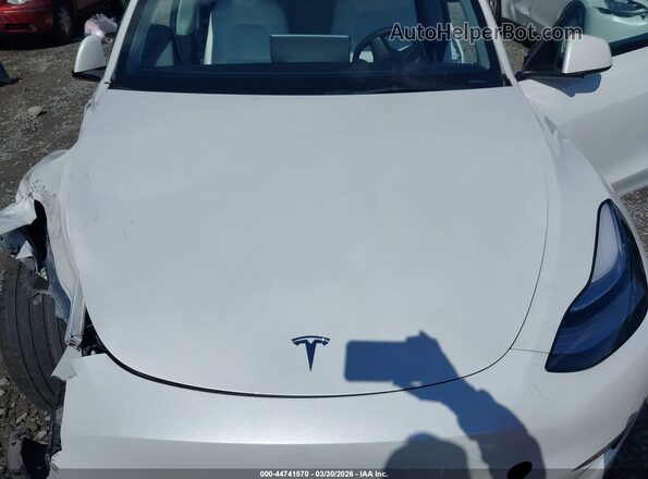 5YJYGDEE8MF304002 2021 TESLA MODEL Y White Vista trasera