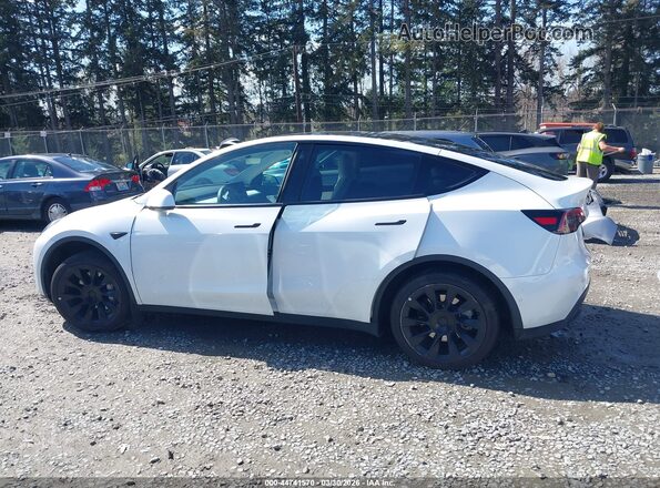 5YJYGDEE8MF304002 2021 TESLA MODEL Y White 