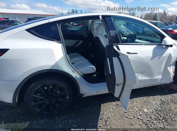 5YJYGDEE8MF304002 2021 TESLA MODEL Y White Vista de la etiqueta del VIN