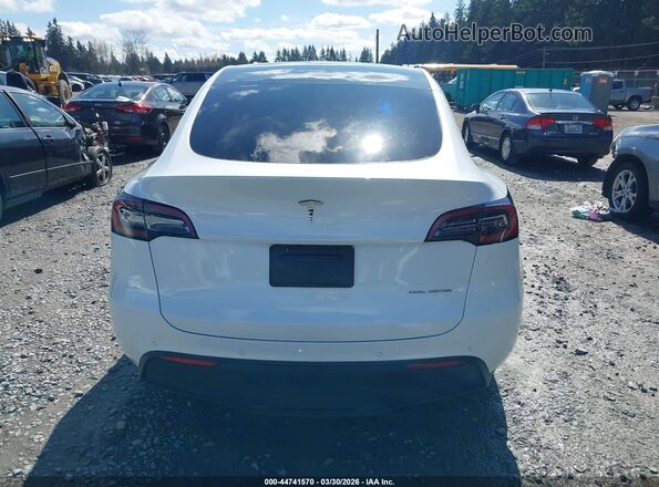 5YJYGDEE8MF304002 2021 TESLA MODEL Y White 