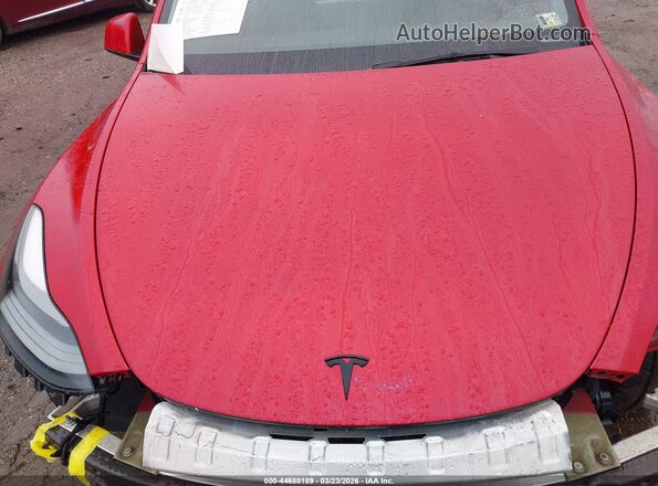 5YJYGDEF7MF124504 2021 TESLA MODEL Y Red Widok z tyłu
