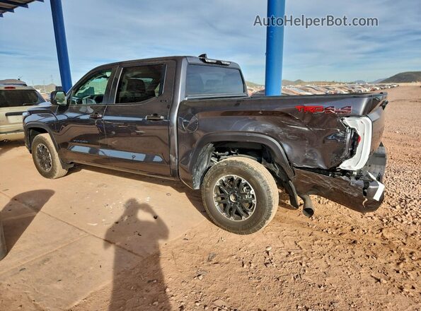 5TFLA5DB7RX149237 2024 TOYOTA TUNDRA Gray Задня ліва чверть