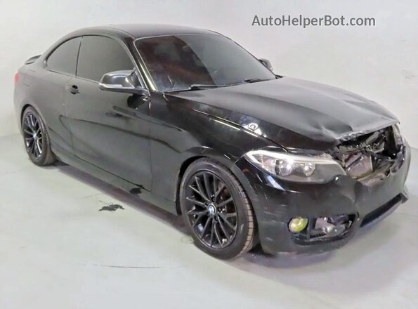 WBA1F9C54GV544669 2016 BMW 2 SERIES Black Tył lewy