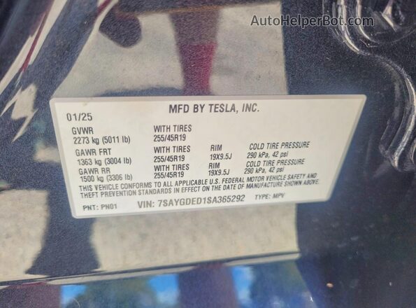 7SAYGDED1SA365292 2025 TESLA MODEL Y Gray Widok tylnych siedzeń
