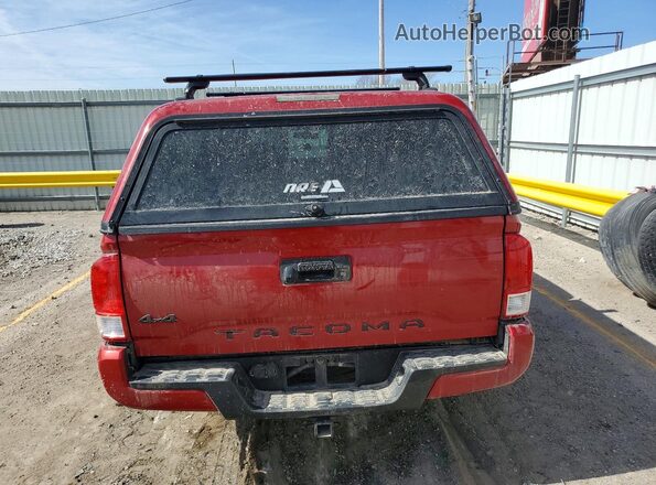 5TFSX5EN7GX045525 2016 TOYOTA TACOMA Red Rear view