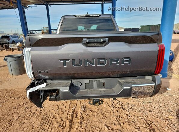 5TFLA5DB7RX149237 2024 TOYOTA TUNDRA Gray Вид ззаду