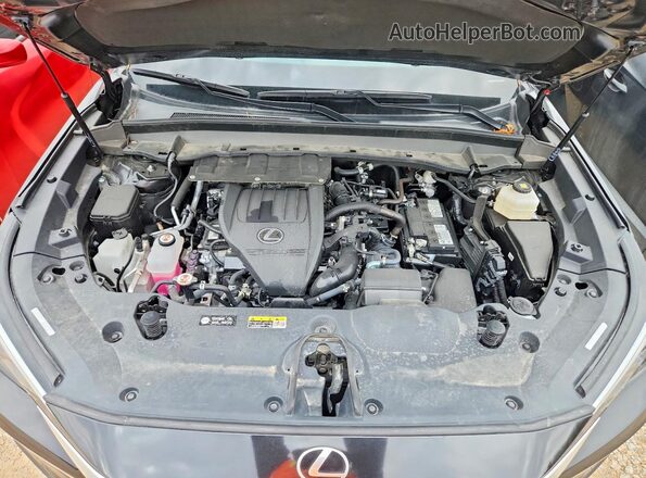5TDAAAA67RS012537 2024 LEXUS TX Black Vista de la etiqueta del VIN