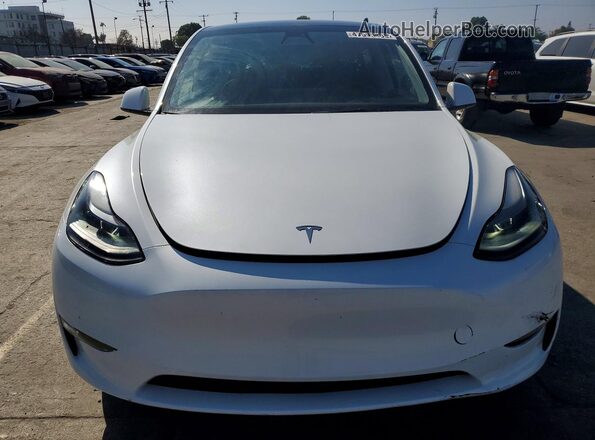 7SAYGDEE9RA222562 2024 TESLA MODEL Белый Вид сзади