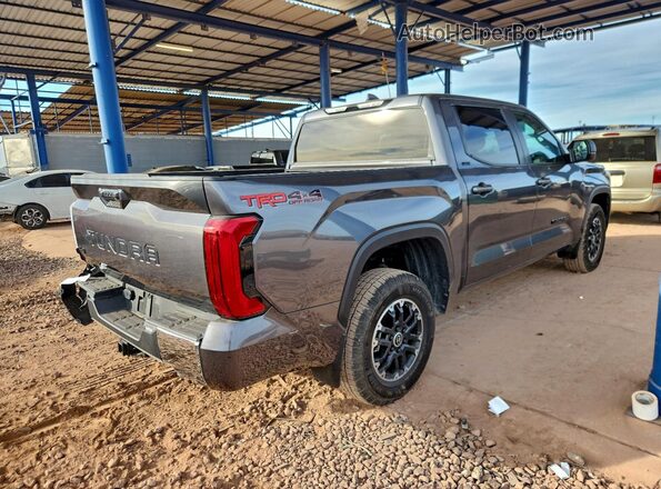 5TFLA5DB7RX149237 2024 TOYOTA TUNDRA Gray Задня права чверть