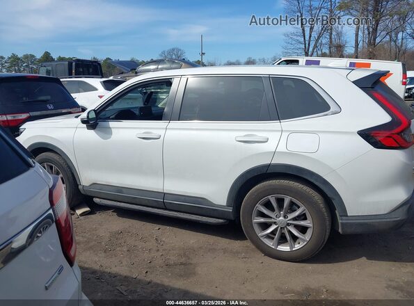 7FARS4H7XSE001319 2025 HONDA CR-V White Панорамний вид салону 360°