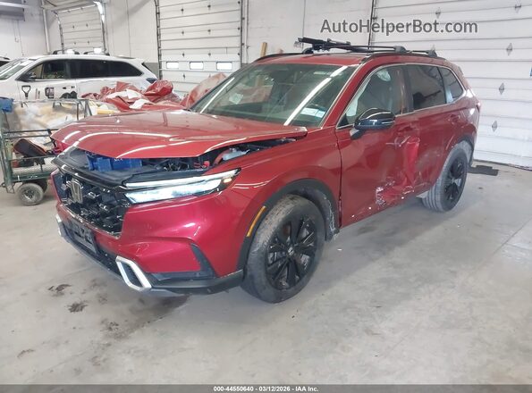 7FARS6H96RE017363 2024 HONDA CR-V HYBRID Burgundy 