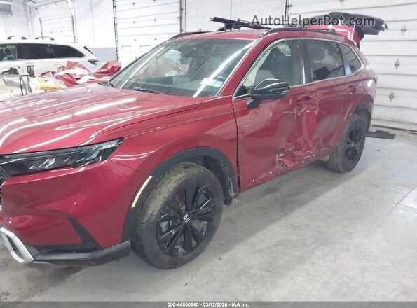 7FARS6H96RE017363 2024 HONDA CR-V HYBRID Burgundy 