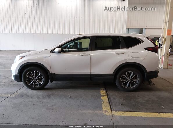 7FART6H55LE016075 2020 HONDA CR-V White 360 interior view