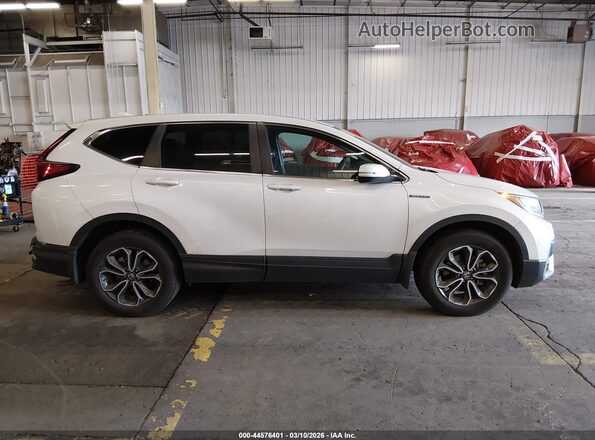 7FART6H55LE016075 2020 HONDA CR-V White Rear interior view