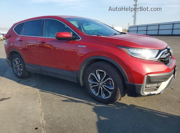 7FART6H83ME029872 2021 HONDA CR-V Red Առջևի աջ
