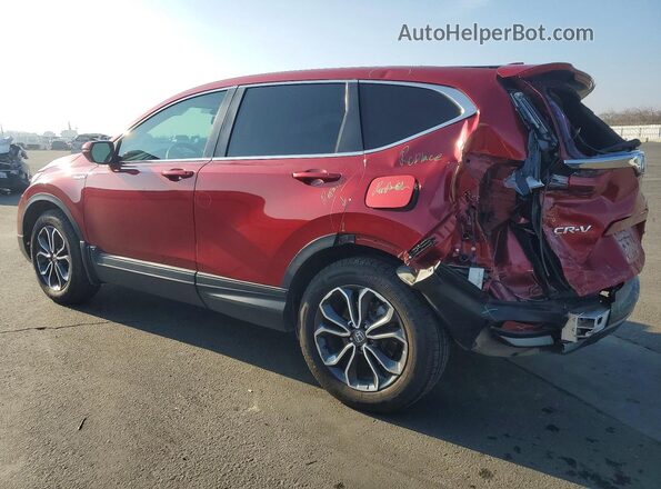 7FART6H83ME029872 2021 HONDA CR-V Red Հետևի ձախ