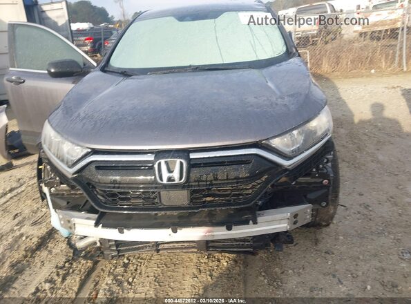 7FARW1H26ME011582 2021 HONDA CR-V Gray უკანა ხედი