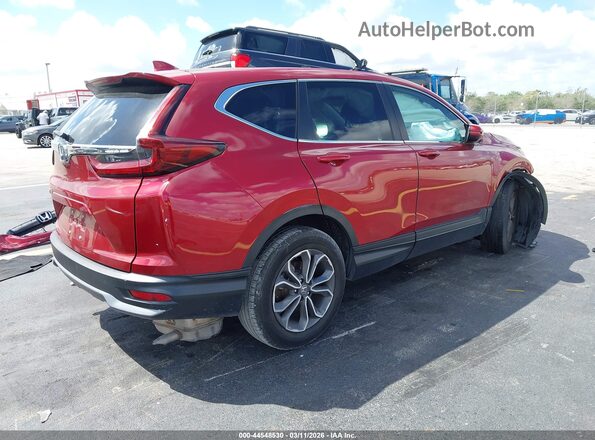 7FARW1H52ME008754 2021 HONDA CR-V Red Հետևի աջ