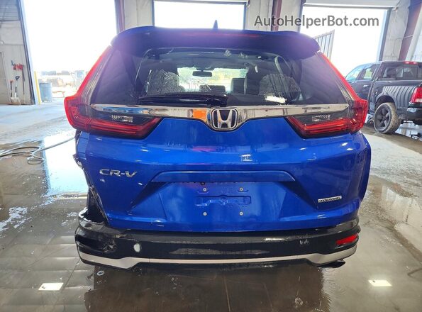 7FARW1H97LE000814 2020 HONDA CR-V Blue Widok z tyłu
