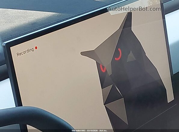 7G2CEHEE6RA017282 2024 TESLA CYBERTRUCK Gray Հետևի նստատեղերի տեսք