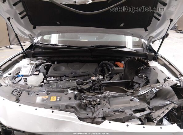 7MMVAABW4SN109657 2025 MAZDA CX-50 HYBRID White უკანა ხედი