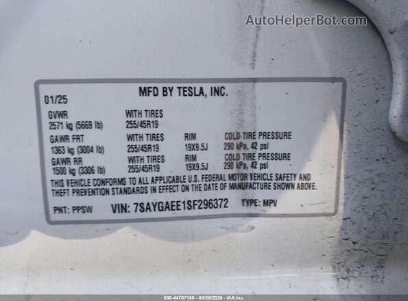 7SAYGAEE1SF296372 2025 TESLA MODEL Y White 