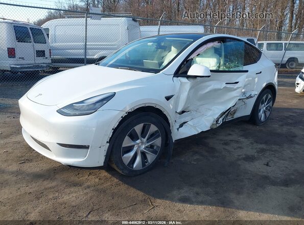 7SAYGAEE4NF516012 2022 TESLA MODEL Y White Front left