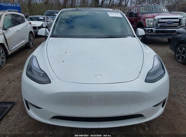 7SAYGDED2RF129781 2024 TESLA MODEL Y White 