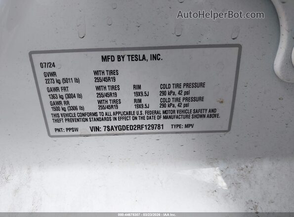 7SAYGDED2RF129781 2024 TESLA MODEL Y White 