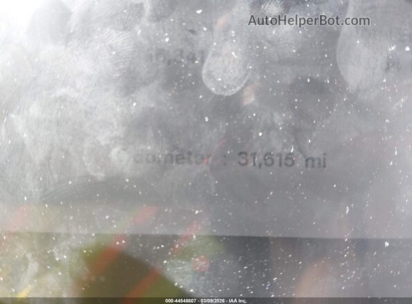 7SAYGDED9RF133651 2024 TESLA MODEL Y White 